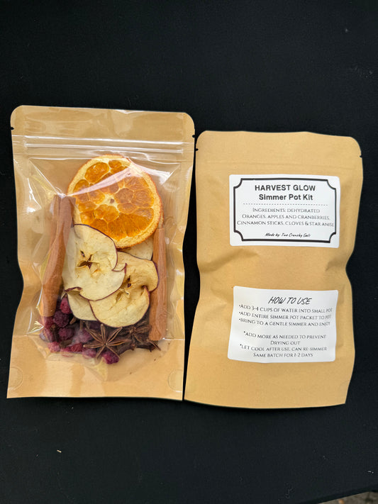 Winter Spice Simmer Pot Kit